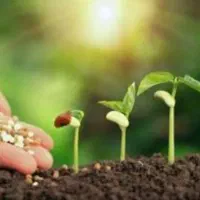 فروش انواع کودهای ارگانیک