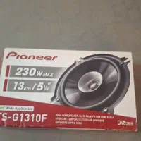 جفت باند پایونیر G1310F|صوتی و تصویری|رشت, معلم|دیوار