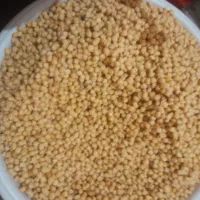 مایه فلافل و خمیر|عمده‌فروشی|کبودرآهنگ, |دیوار