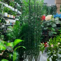 بامبو خیزران گل مصنوعی درختچه مصنوعی|گل مصنوعی|تهران, باغ خزانه|دیوار