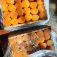 قیسی فوق ممتاز درجه یک کیلویی ۶۰۰هزار تومان|خوردنی و آشامیدنی|ری, امین آباد|دیوار