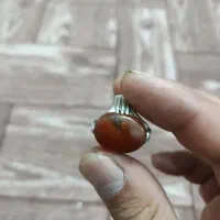 انگشتر شجر باباغوری معاوضه با پرنده|جواهرات|زارچ, |دیوار