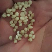 کوددی آمونیوم رازی اصلی