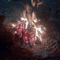 باغ-950-متری-نقش-رستم-مرودشت-حسین-آباد