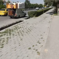 وانت تلفنی
