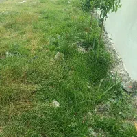 زمین-430متری-با-کاربری-مسکونی