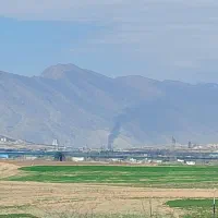 1200متر زمین آماده برای کاشت باغ