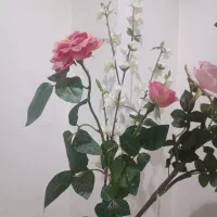 حراج انواع دکوری ظروف گلهای تزیینی گلدان ساعت|صنایع دستی و سایر لوازم تزئینی|کرج, برغان|دیوار
