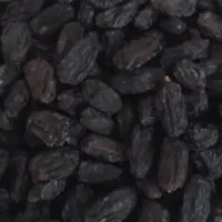مویز