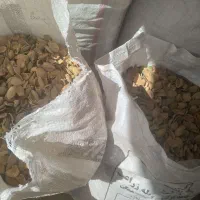 پوسته بادام