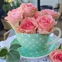 شریک جهت کارگاه تولیدی