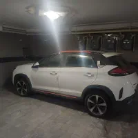 MVM x33 cross