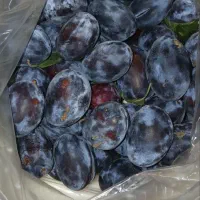 الو خرمالو