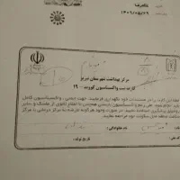 این مدارک گمشده