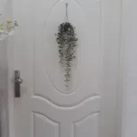 در ورودی آپارتمان باچهارچوب