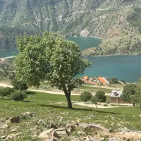 زمین ۱۶۰متری