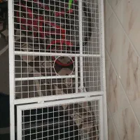 تخت بیمارستانی تخت مریض