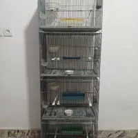 قفس جفت کن غلامی