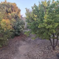 فروش باغ شهری جنت شهر وصل اسفالت|فروش زمین و ملک کلنگی|جنت, |دیوار