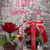 هدیه ولنتاین