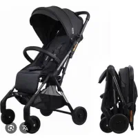 کالسکه فیکشن سوییس