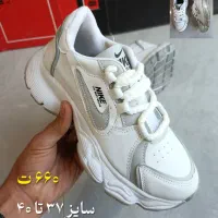 قاب میانه نیک