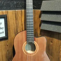 گیتار ویترینی