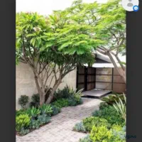 فروش باغ 1000متری جنوبی قیمت 1250