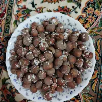 فندق سرخ کرده