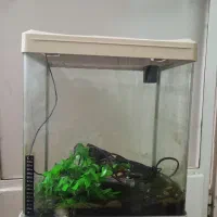 اکواریوم تمیز. ماهیران|ماهی|اصفهان, شیخ طوسی|دیوار