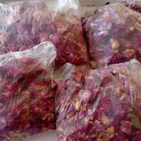 برگ گل محمدی