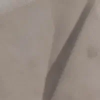 موکت سالم و تمیز درحدنو ب فروش میرسد