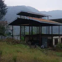 ۱۲۰۰متر زمین جنگلی با اسکلت