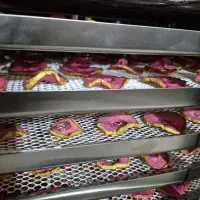 دستگاه خشک کن میوه سبزیجات لواشک 10و240سینی|ماشین‌آلات صنعتی|اصفهان, نمایشگاه بین المللی اصفهان|دیوار