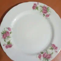 بشقاب گل سرخ ژاپن