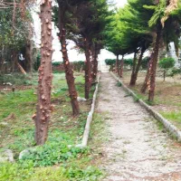 ویلای-دربست-ساحلی-سه-خوابه