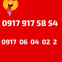 سیم کارت همراه ۰۹۱۷