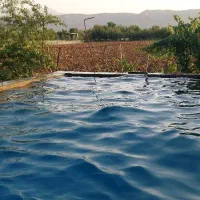 ویلا اجاره ای روزانه