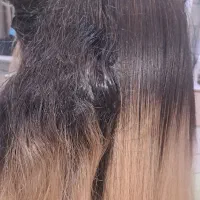 تخفیف یلدایی