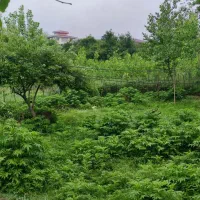 گردشگری