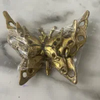 پروانه برنج