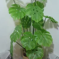 گل گلدان وگل گلدان فایبرگلاس مخملی بابرگ انجیری|گل مصنوعی|رودسر, |دیوار