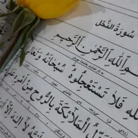 ختم قرآن کریم|کتاب و مجله مذهبی|مراغه, |دیوار