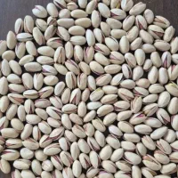 خرید پسته|خوردنی و آشامیدنی|تربت جام, میان جام|دیوار