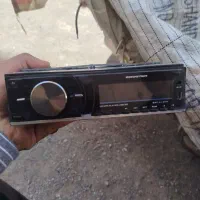ظبط