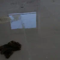 نصب سرامیک|خدمات پیشه و مهارت|مشهد, گلشور|دیوار