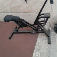 تن ورز ثابت