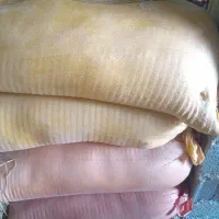 سبوس برنج دانه دار