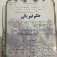 اسب عرب کورسی