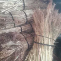 بذر جارووجارو